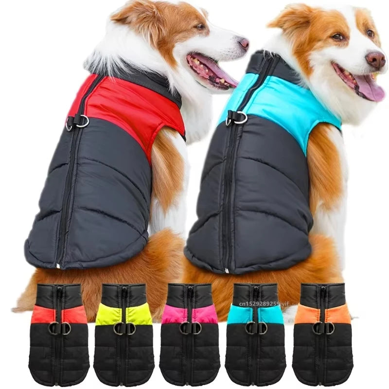 ZarpaShield – Chaqueta Impermeable Acolchada para Perros