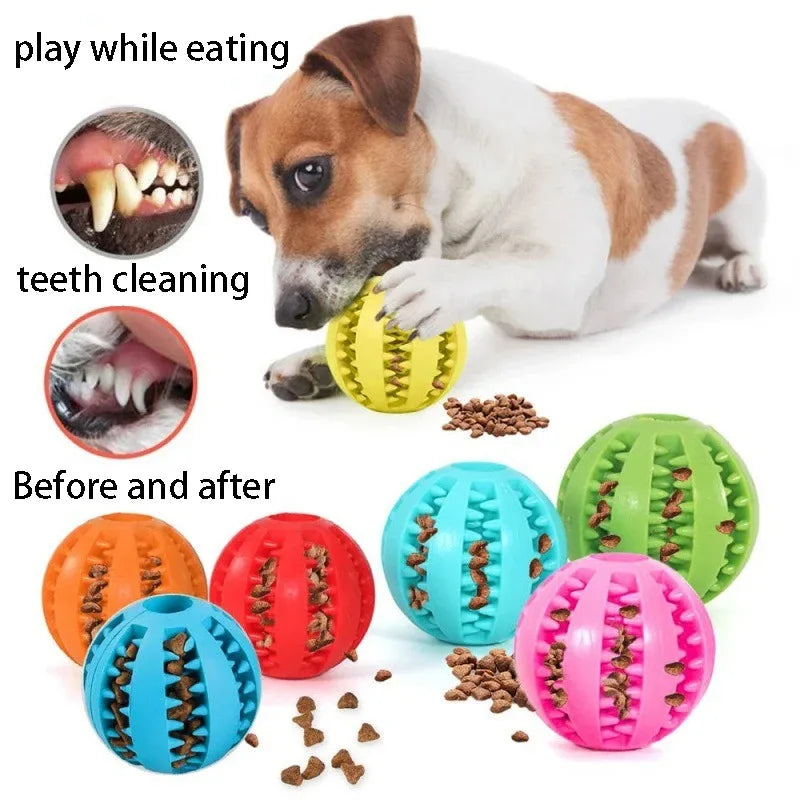 ZarpaClean Ball – Juguete Dental Interactivo para Perros