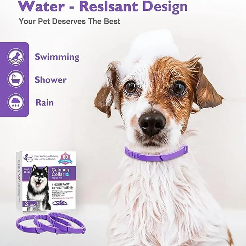 ZarpaCalm – Collar Antiestrés con Feromonas para Perros y Gatos