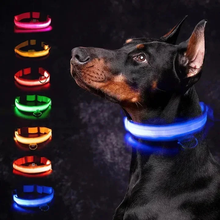 ZarpaGlow – Collar LED Recargable para Paseos Nocturnos
