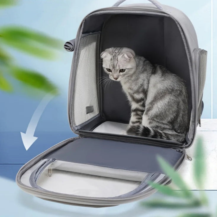 ZarpaTravel – Mochila Transparente para Mascotas