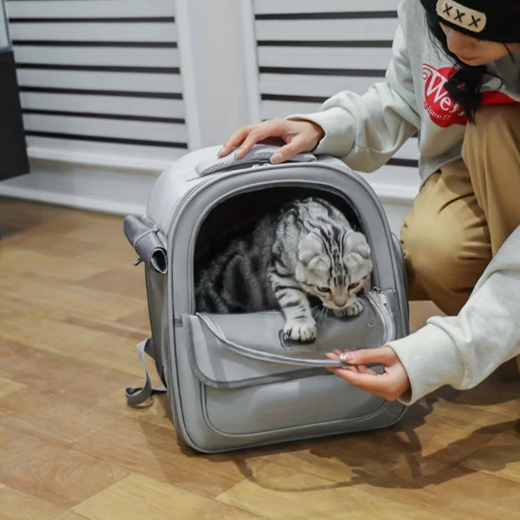 ZarpaTravel – Mochila Transparente para Mascotas