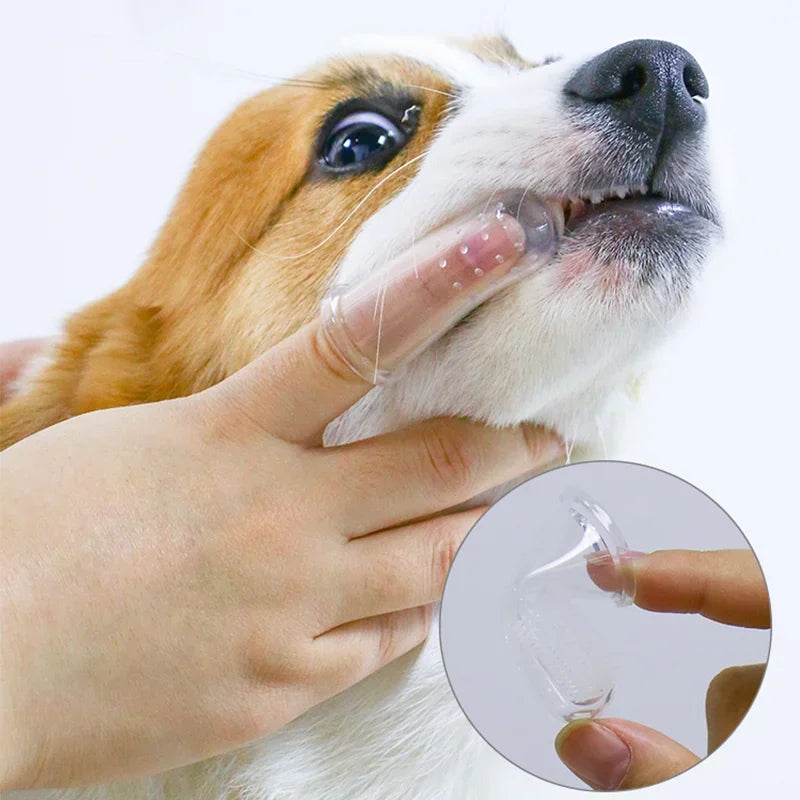 ZarpaBrush Finger – Cepillo Dental de Silicona para Perros y Gatos