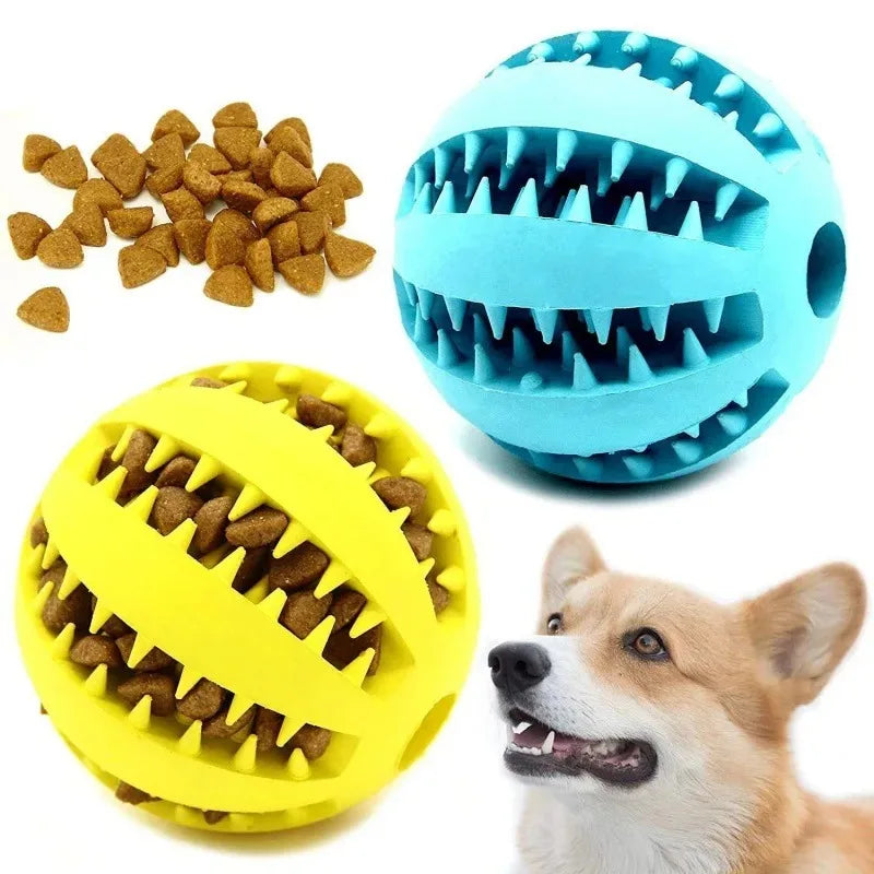 ZarpaClean Ball – Juguete Dental Interactivo para Perros