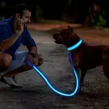 ZarpaGlow – Collar LED Recargable para Paseos Nocturnos
