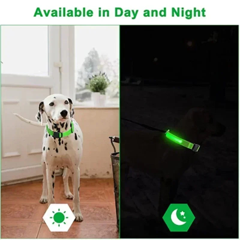 ZarpaGlow – Collar LED Recargable para Paseos Nocturnos